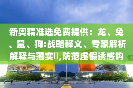 新奧精準選免費提供：龍、兔、鼠、狗:戰(zhàn)略釋義、專家解析解釋與落實?,防范虛假誘惑鉤