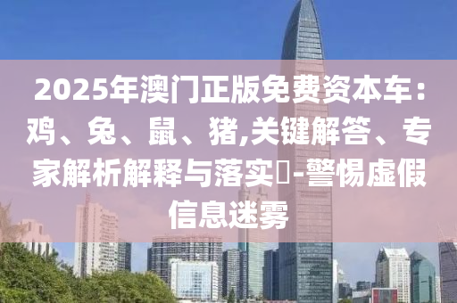 2025年澳門正版免費資本車：雞、兔、鼠、豬,關鍵解答、專家解析解釋與落實?-警惕虛假信息迷霧